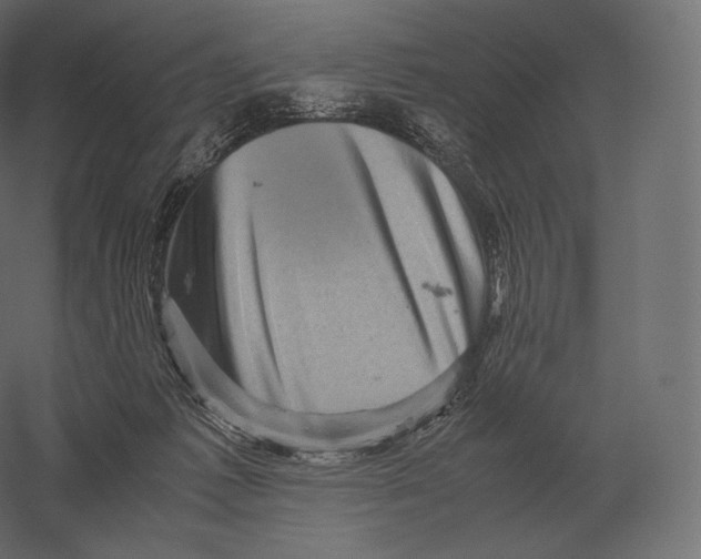 X0000060280221200511241530