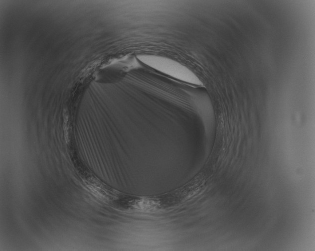 X0000060280223200511241530