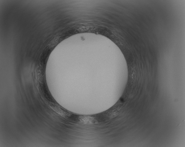 X0000060280226200511241530