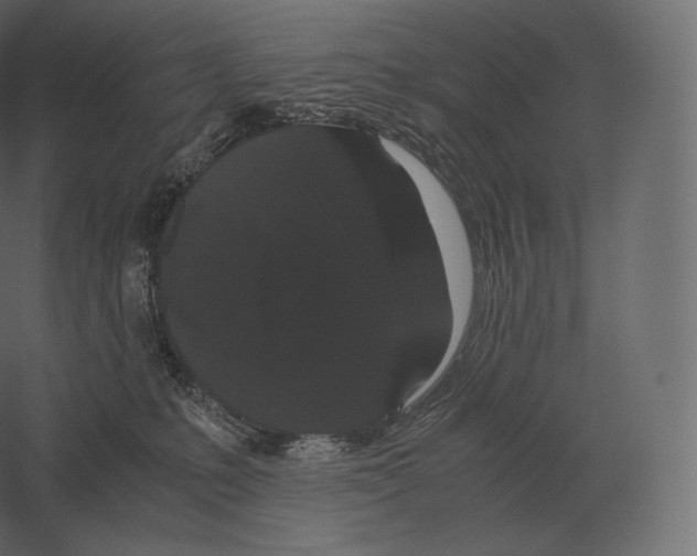 X0000060280231200511241530