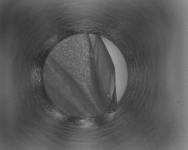 X0000060280232200511241530
