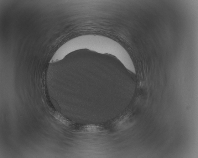 X0000060280233200511241530