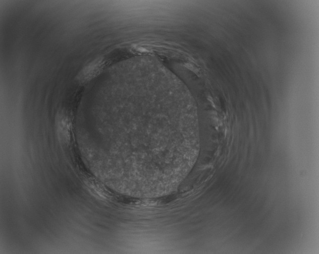 X0000060280235200511241530