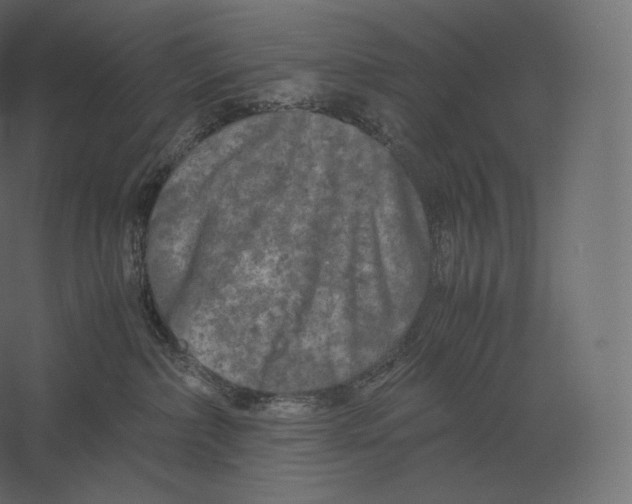 X0000060280236200511241530