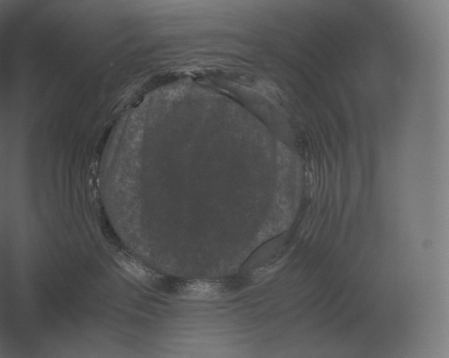 X0000060280237200511241530