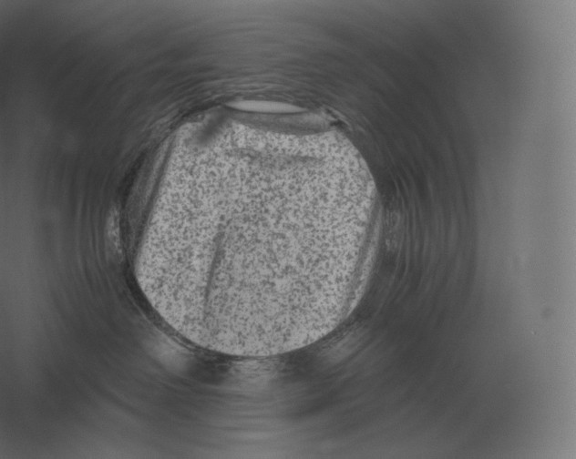 X0000060280238200511241530
