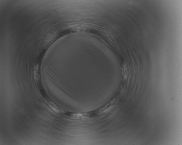 X0000060280239200511241530