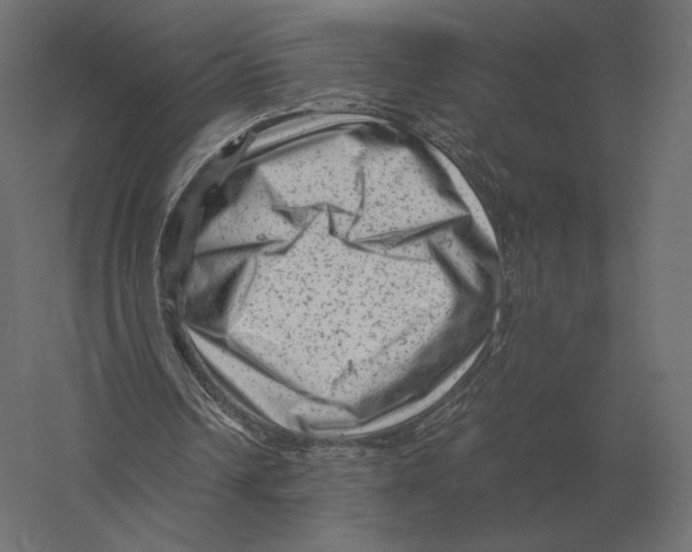 X0000060280242200511241529