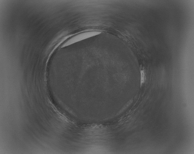 X0000060280243200511241529