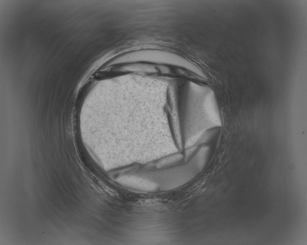 X0000060280244200511241529