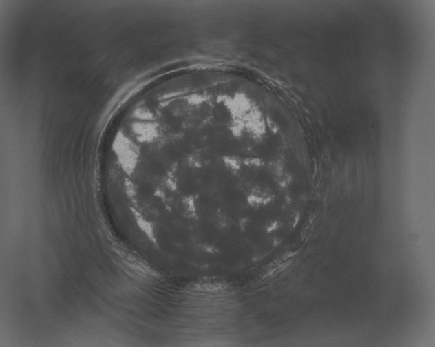 X0000060280247200511241529