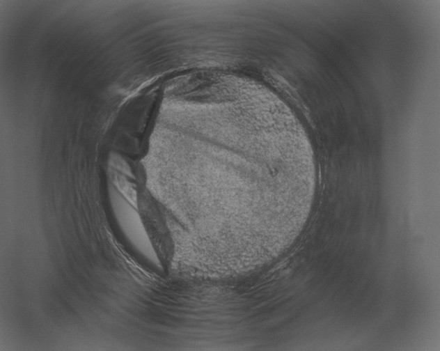 X0000060280249200511241529