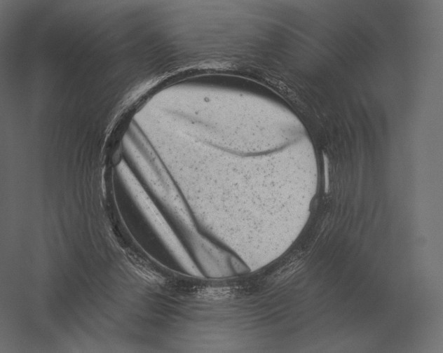 X0000060280252200511241529
