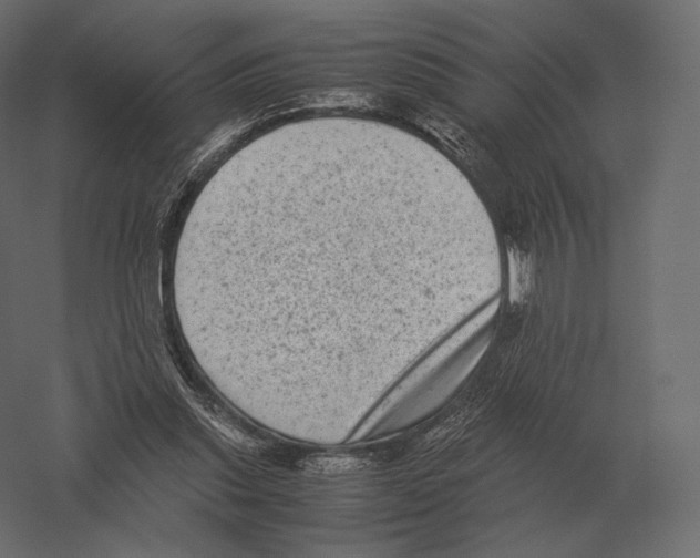 X0000060280253200511241529