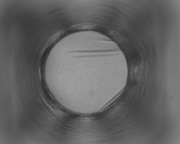 X0000060280254200511241529