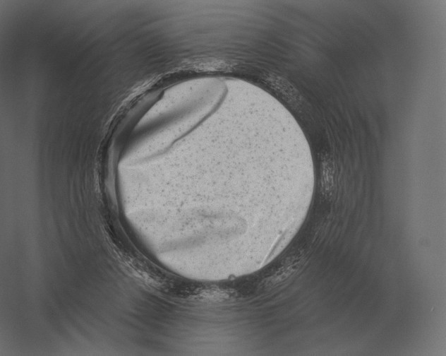 X0000060280256200511241529