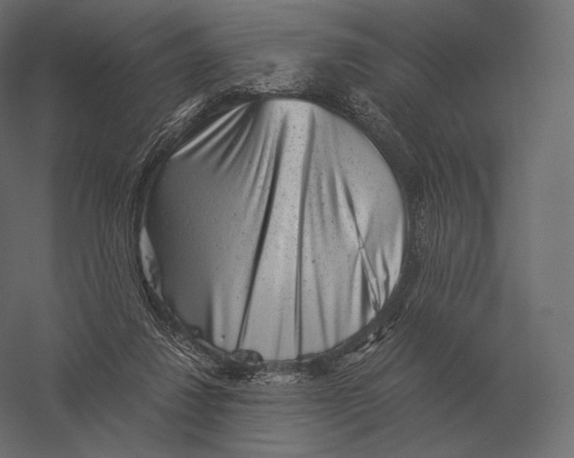X0000060280260200511241529
