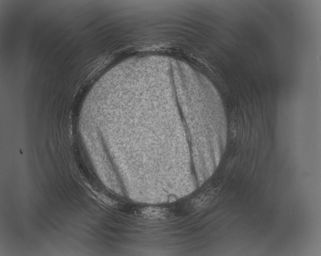 X0000060280261200511241529