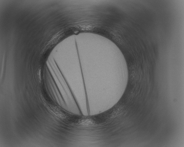 X0000060280262200511241529