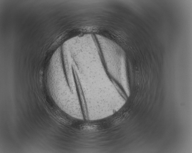 X0000060280263200511241529
