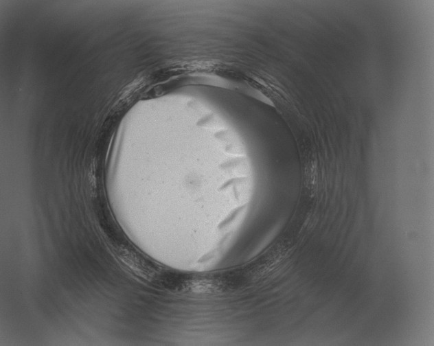 X0000060280264200511241529