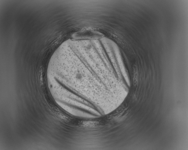 X0000060280268200511241529