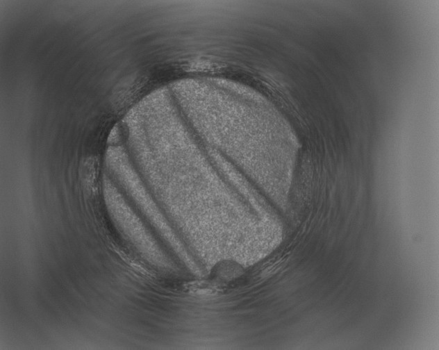 X0000060280273200511241529