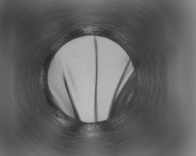 X0000060280275200511241529