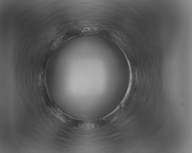 X0000060280276200511241529