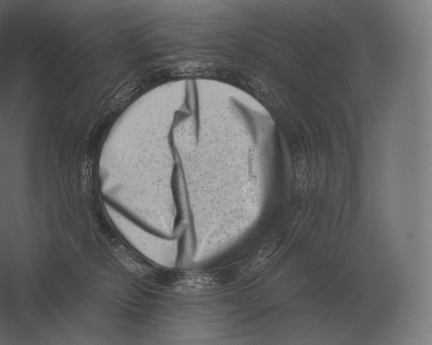 X0000060280278200511241529