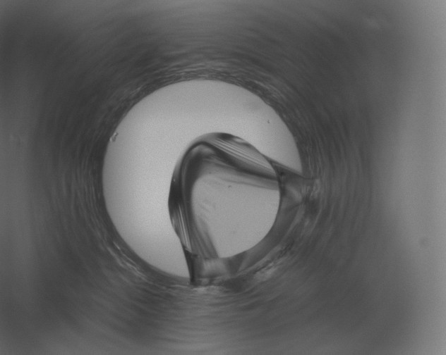 X0000060280284200511241530