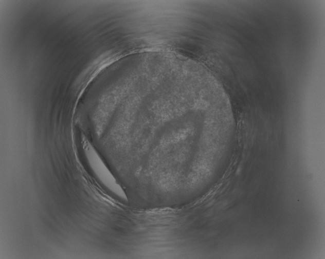 X0000060280290200511241529