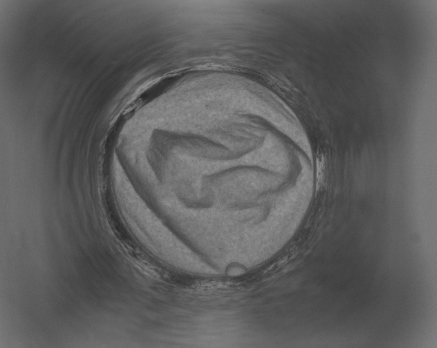 X0000060280291200511241529