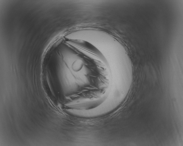 X0000060280293200511241529