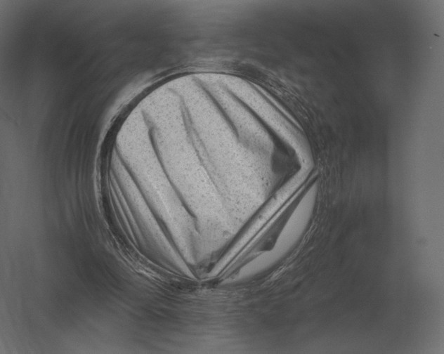 X0000060280294200511241529