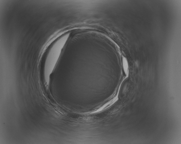 X0000060280295200511241529