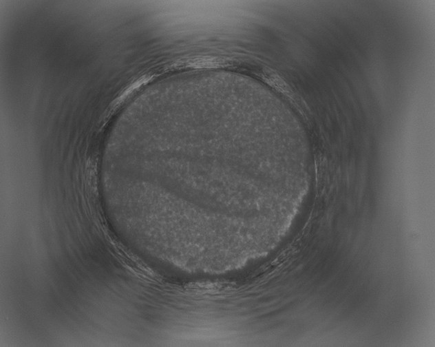 X0000060280297200511241529