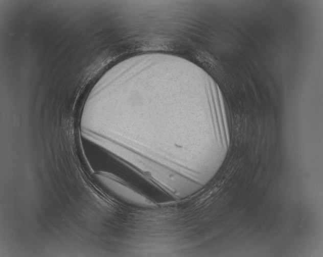 X0000060280298200511241529