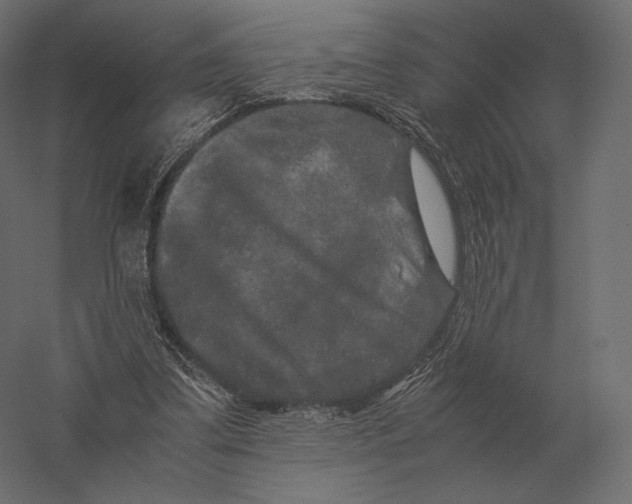 X0000060280299200511241529