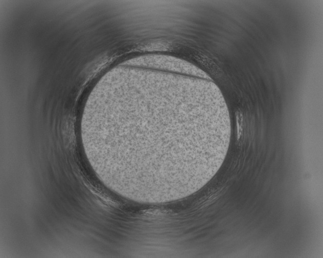 X0000060280300200511241529