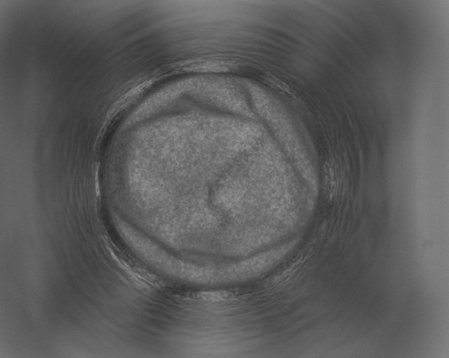X0000060280302200511241529