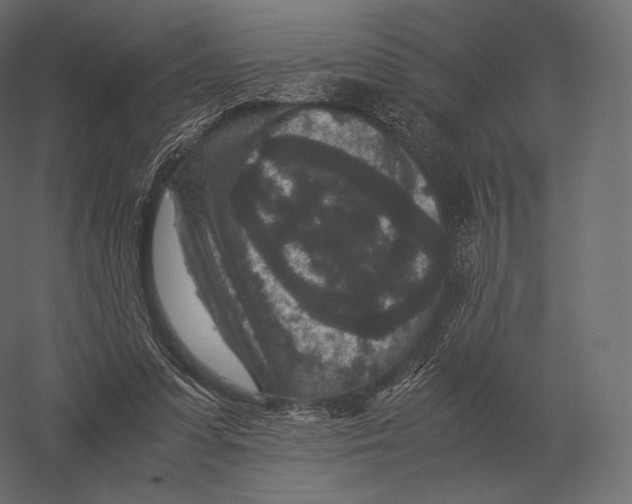 X0000060280303200511241528