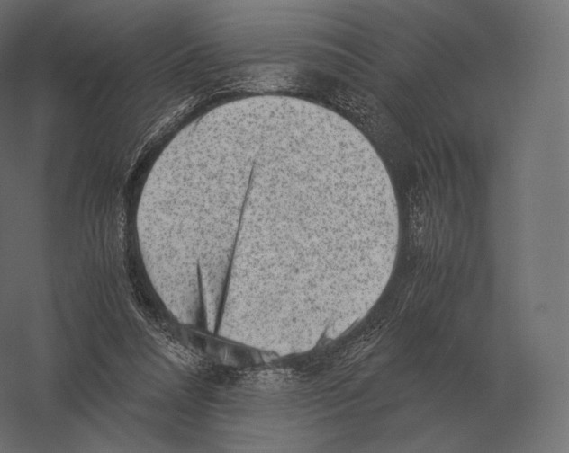 X0000060280304200511241528
