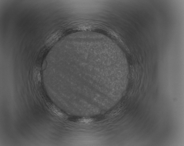X0000060280313200511241528