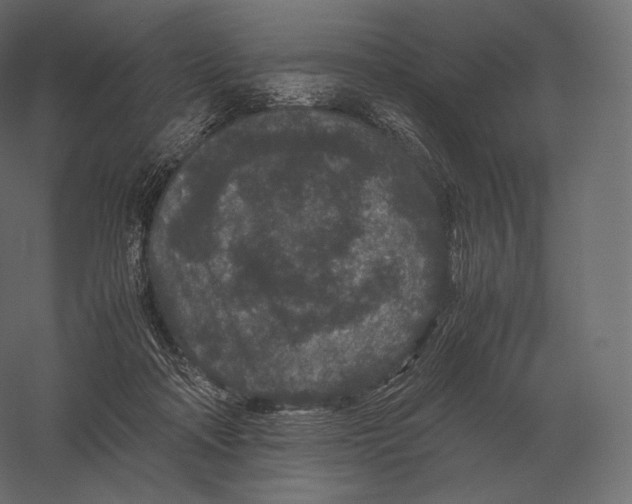 X0000060280314200511241528
