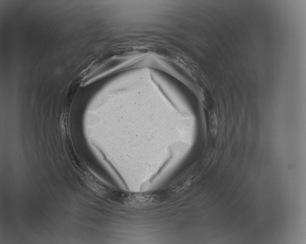 X0000060280329200511241528