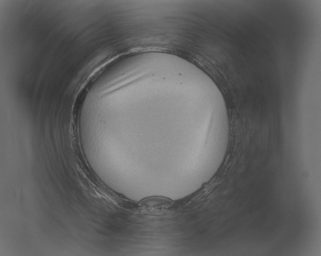X0000060280338200511241527