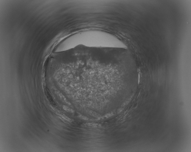 X0000060280339200511241527