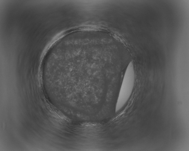 X0000060280343200511241527