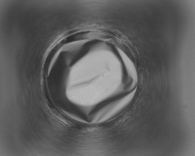 X0000060280344200511241527